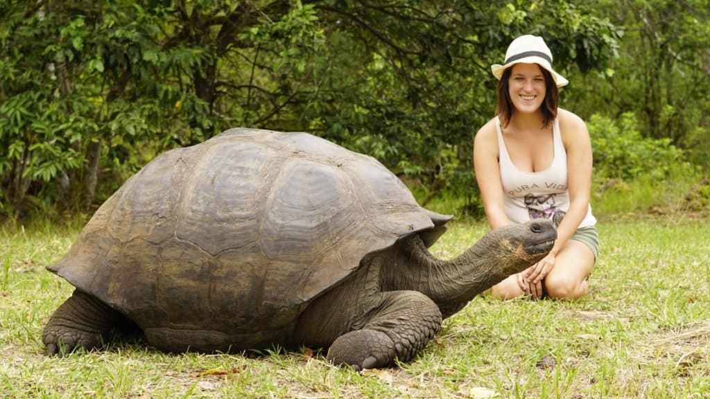 Hanging out with giant tortoises in the Galapagos Islands