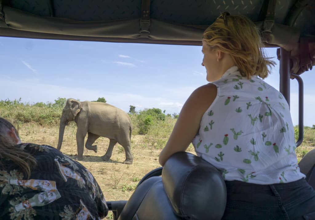 lora watching an elephant on safari in sri lanka