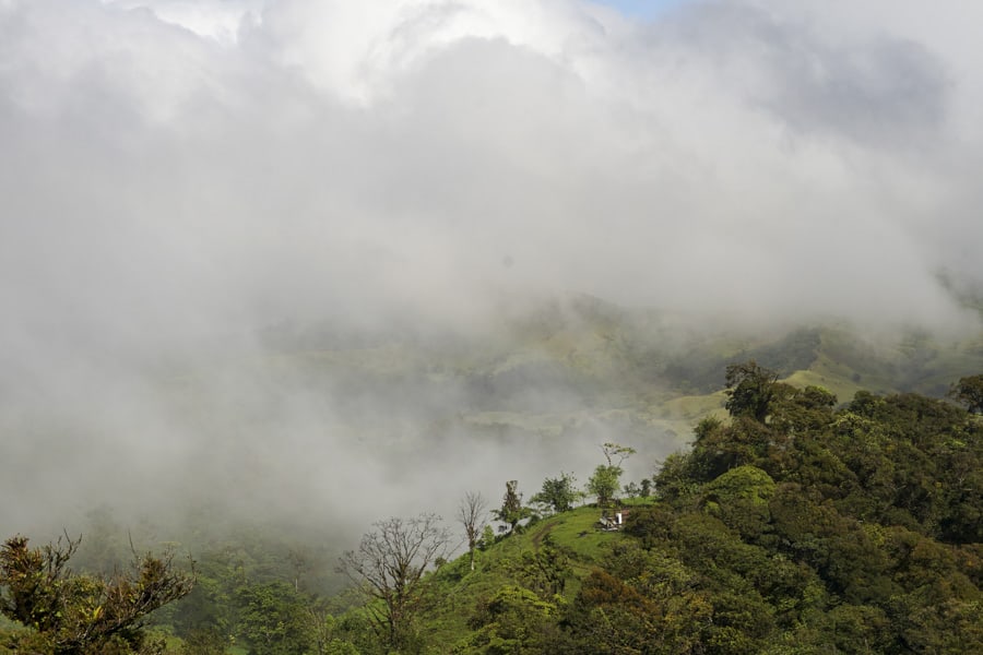 monteverde cloud forest