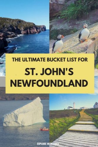 pin things to do in st. john's newfoundland