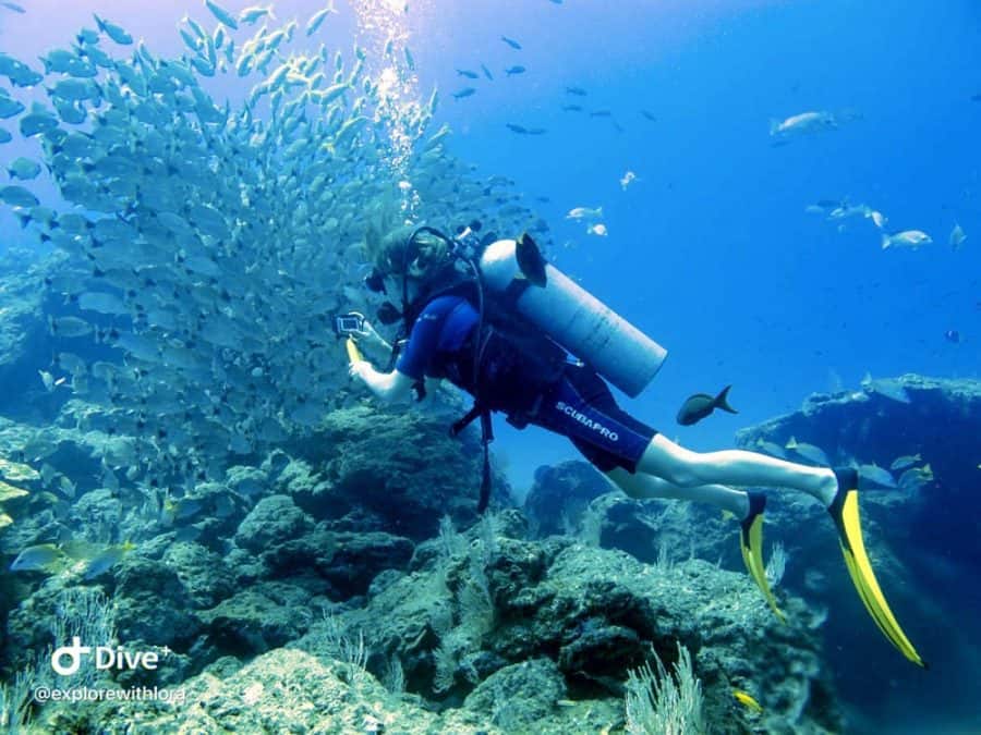 lora diving underwater