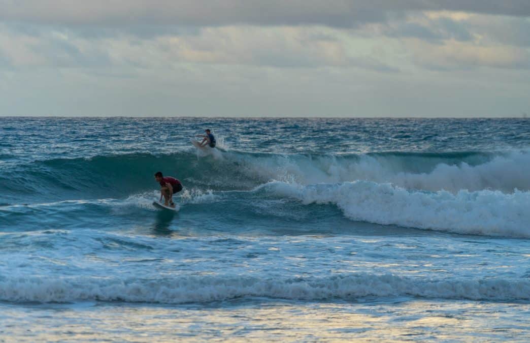 surfers in barbados