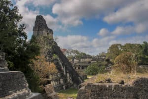 pyramid in Tikal