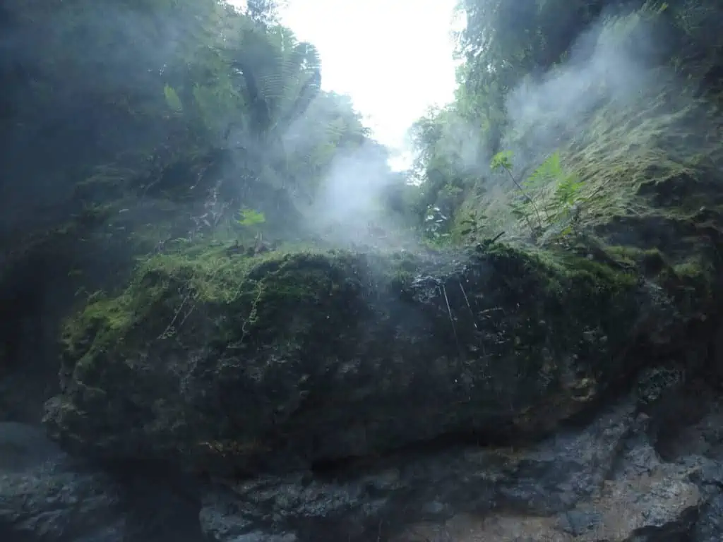 view of steam coming up from the fuentes georginas hot springs