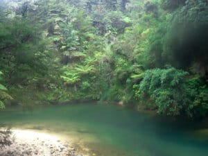 abel tasman national park