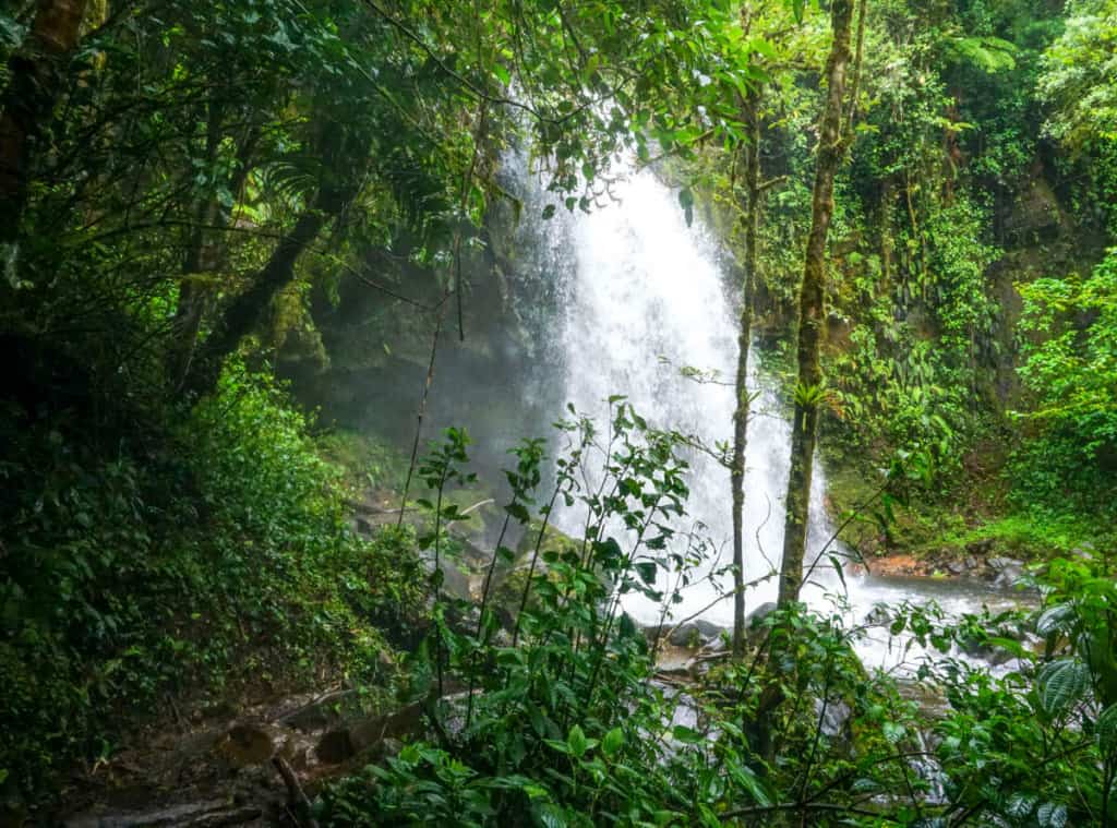 Hiking to the lost waterfalls of boquete panama