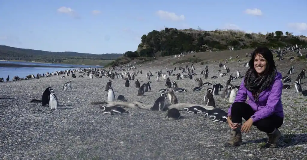 lora with penguins in argentina