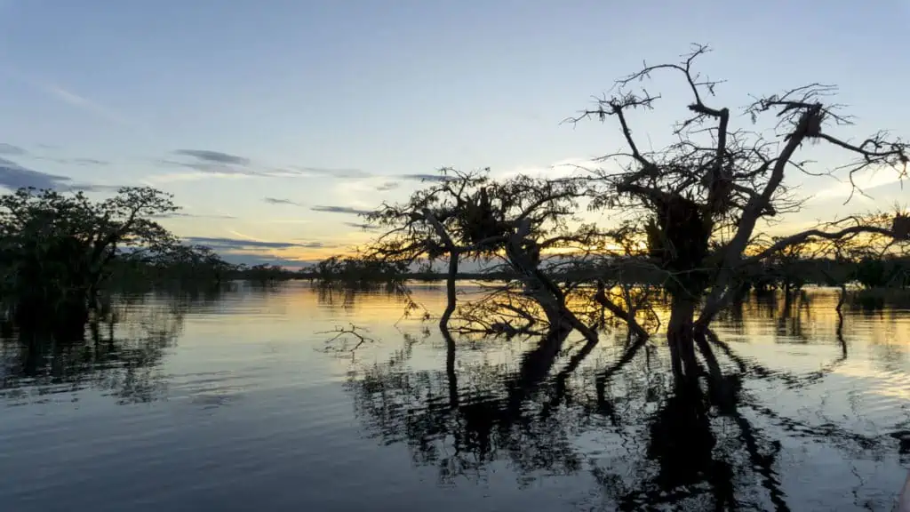 Sunset in the amazon