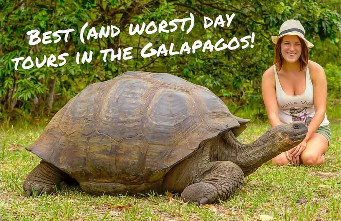 day tours in the galapagos cover photo