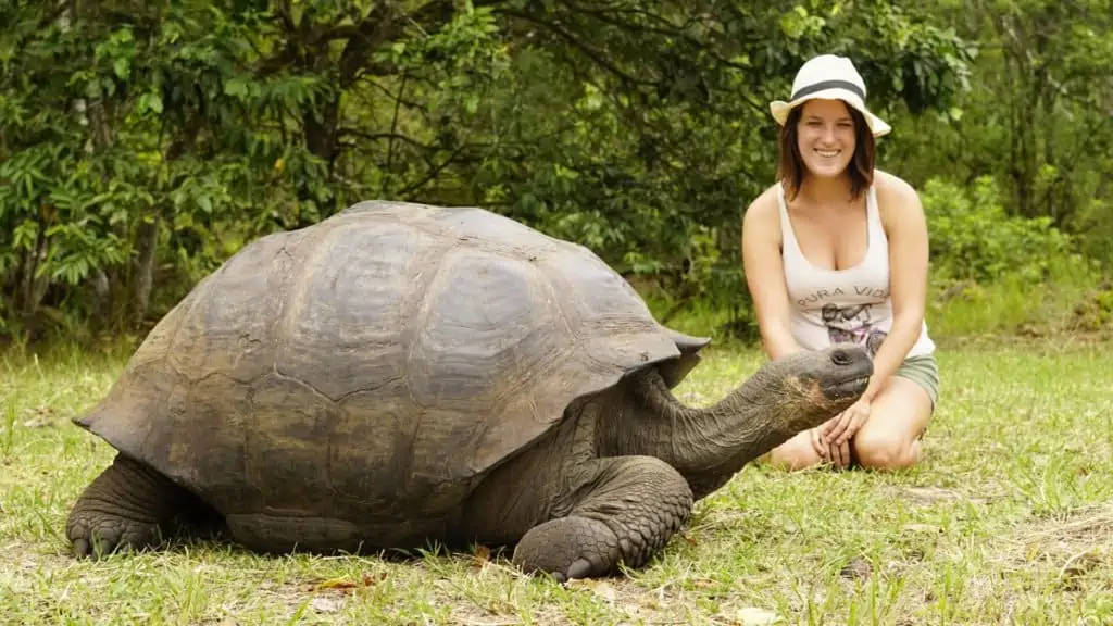 Lora sitting next to a giant tortoise, sharing the frame with one of the iconic and ancient inhabitants of the Galapagos Islands.