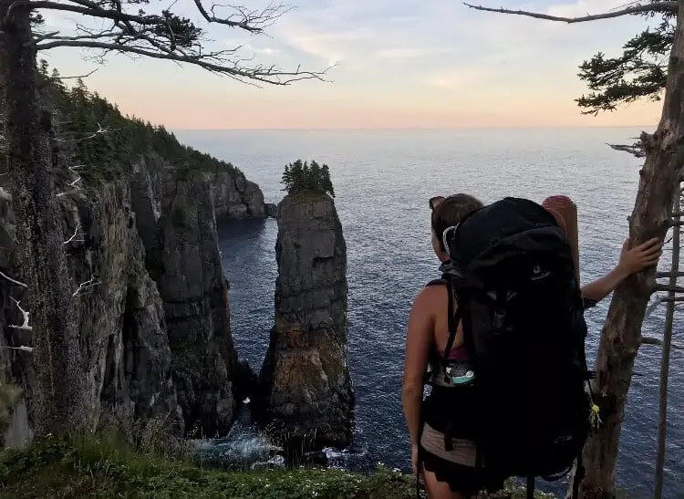 looking over the cliffs of Newfoundland, Canada