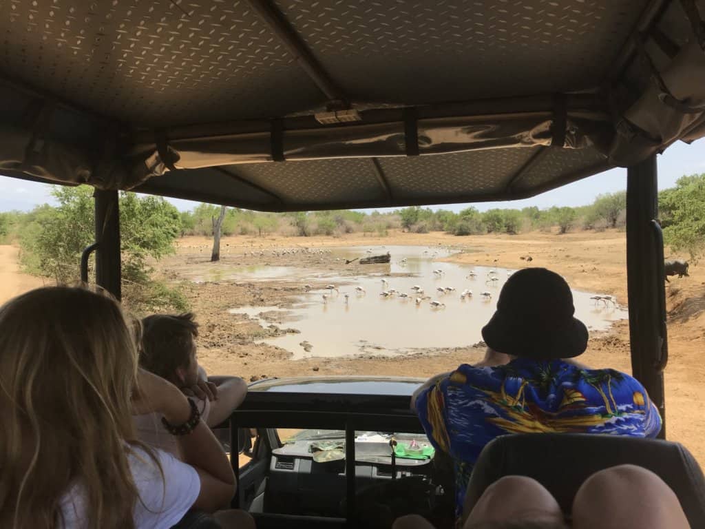 Udawalawe Safari 