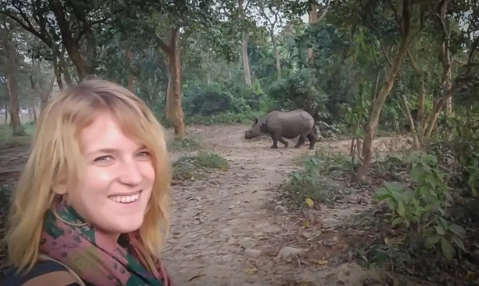 A one horned rhino in chitwan national park