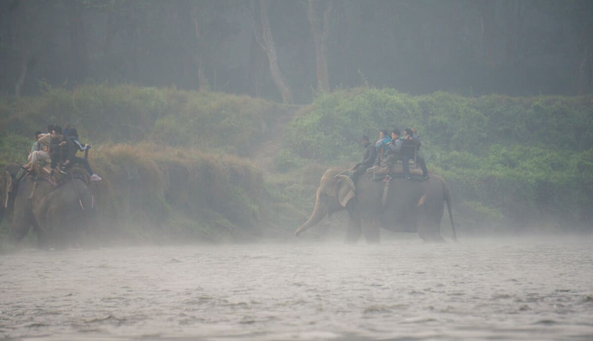 Elephant Riding in Chitwan National Park