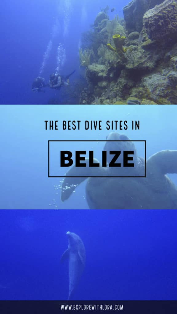 Home to the second largest barrier reef, Belize has some of the best dive sites in the world. Find out if the blue hole is truly the best dive site in Belize, and what other amazing dives there are to explore. #Diving #Belize #Dive #CentralAmerica