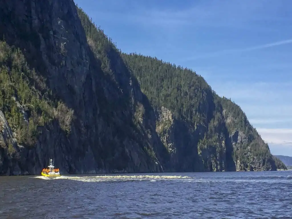 Whale Watching in Quebec