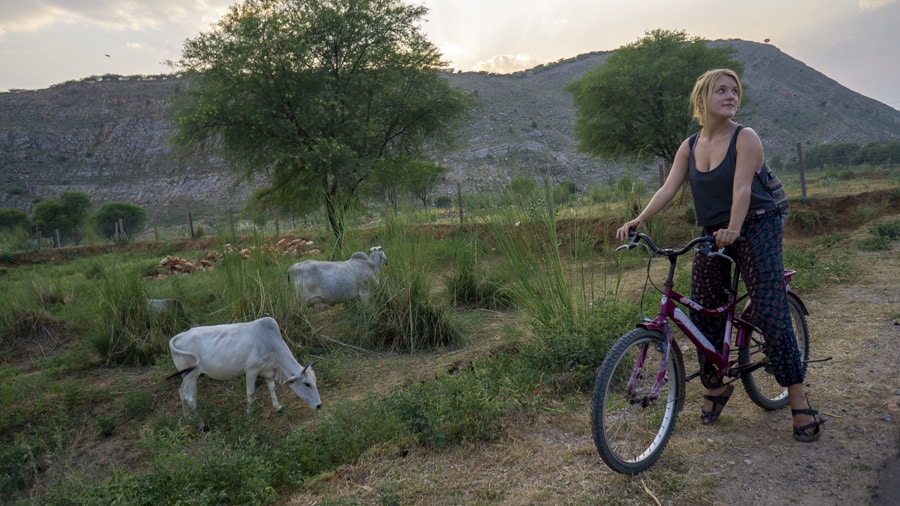 girl biking by cows in rural india