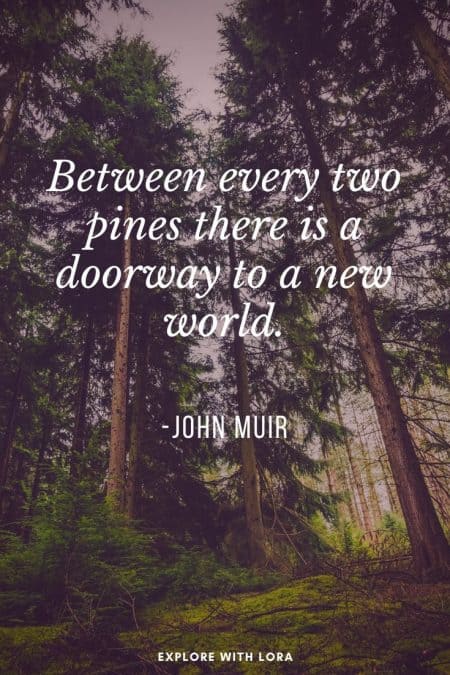 nature quote pin