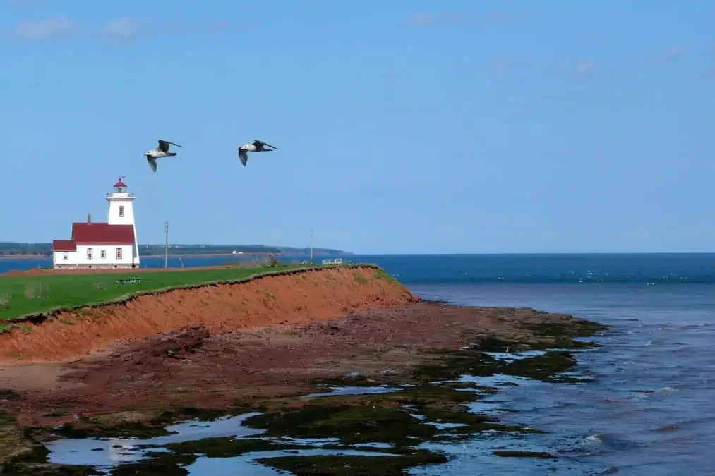 pei lighthouse