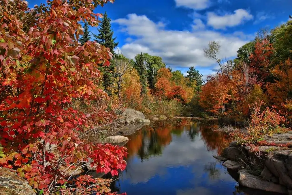 fall colors on the east coast of canada