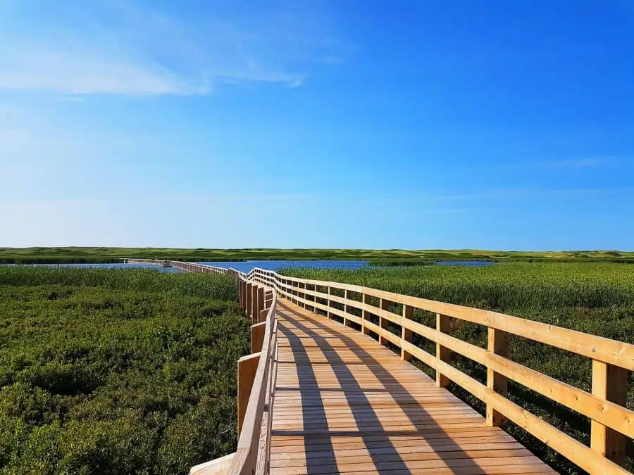 pedestian walking bridge in greenwich pei