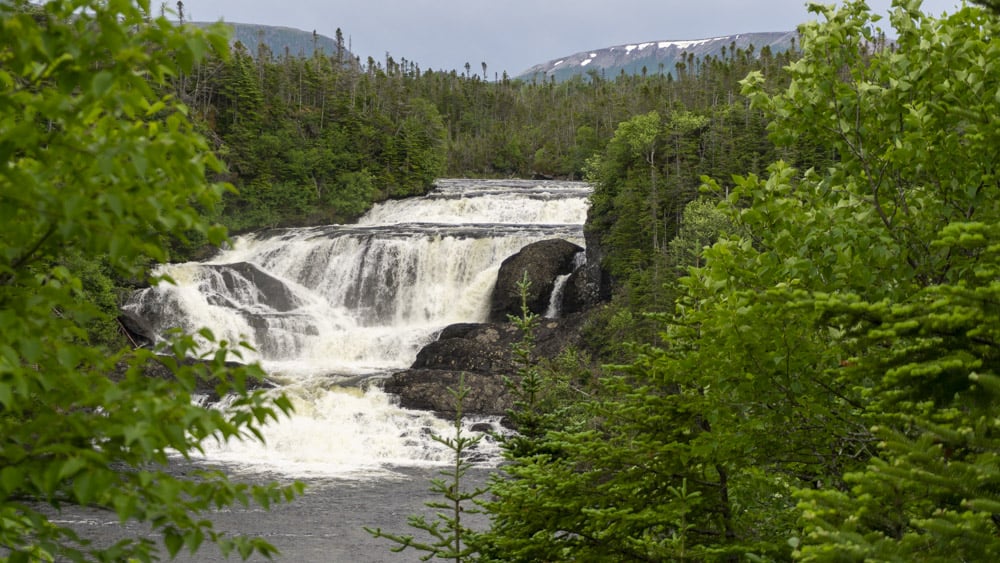 waterfall gros morne national park