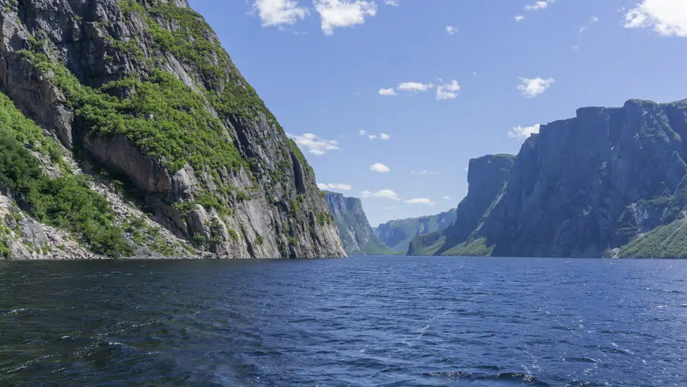 fjords in gros morne national park