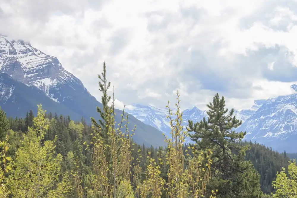 jasper national park