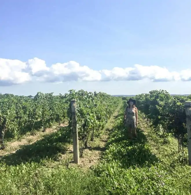 Lora strolling through picturesque vineyards in Niagara-on-the-Lake, Ontario.