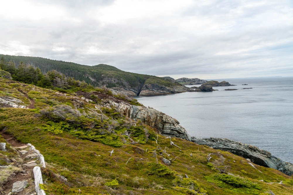 Biscan Cove Path east coast trail