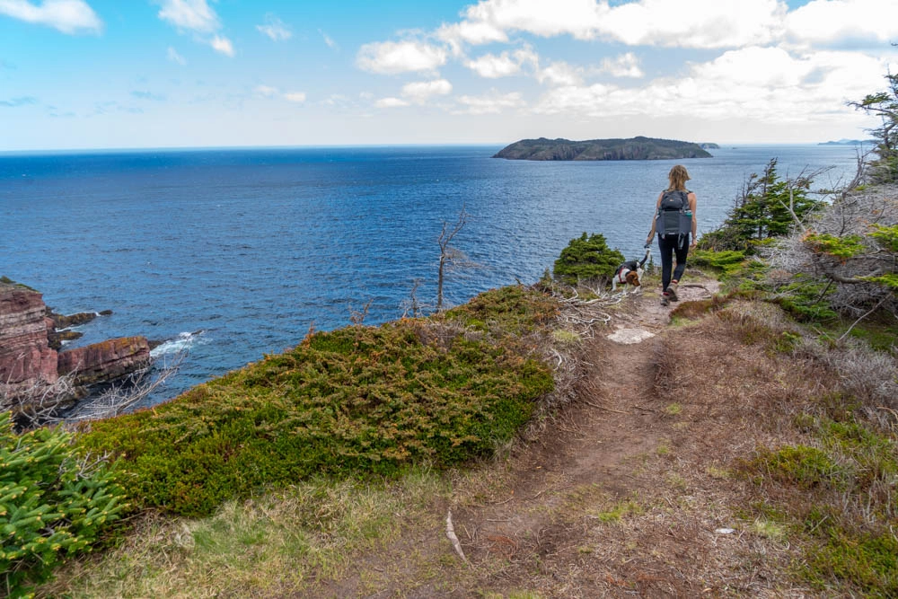 hiking on the east coast trail