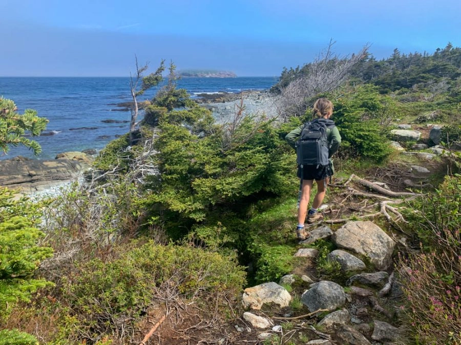 lora hiking on the east coast trail along the irish loop in newfoundland