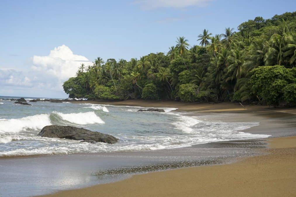 A serene and inviting view of the vast ocean stretching along the sandy shores of Uvita Costa Rica, inviting visitors to take a refreshing dip.