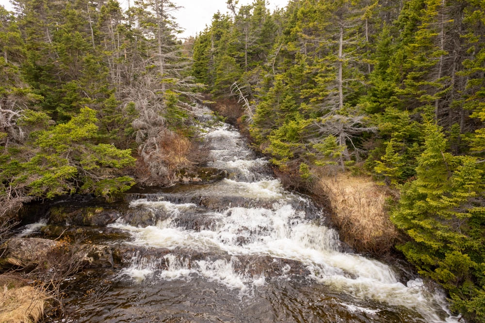 waterfall on silver head mine path east coast trail