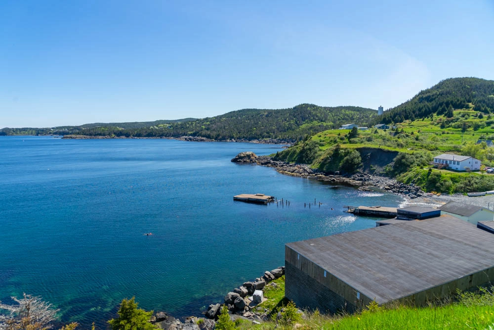 tors cove newfoundland