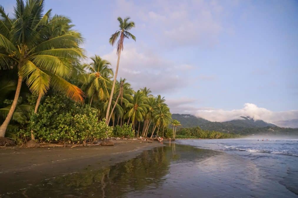 25 Fun Facts About Dominica That Will Surprise You