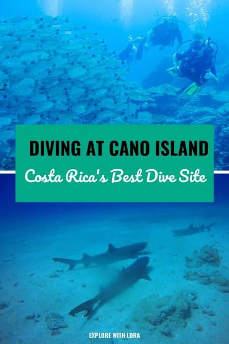 divers by large school of fish with overlay text that reads cano island diving costa rica's best dive site