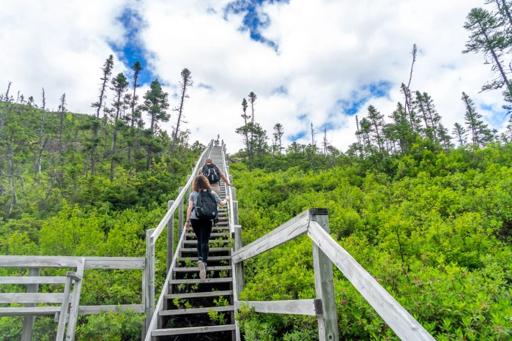 Stairs on the Alexander Murray Hiking Trail central 