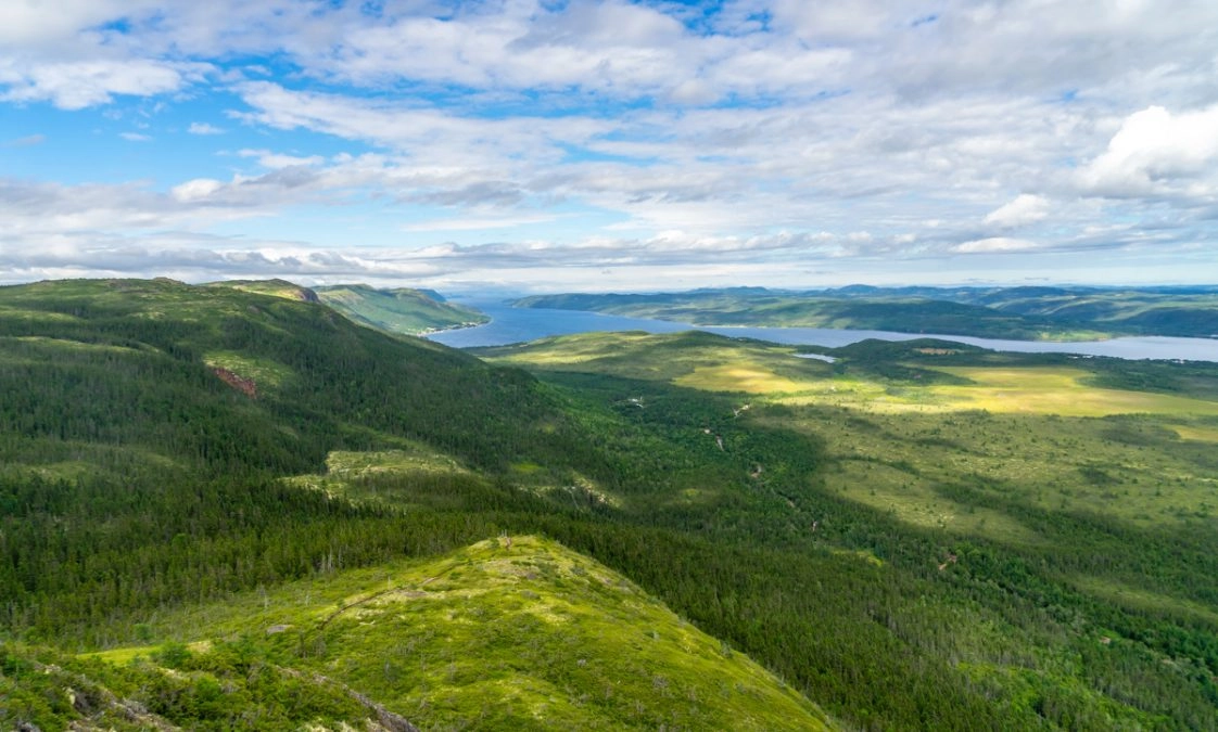 rolling green hills into the ocean - View from the top of the Alexander Murray Hiking Trail 