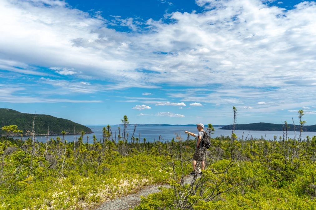 man hiking a trail in eastport newfoundland looking out over the ocean