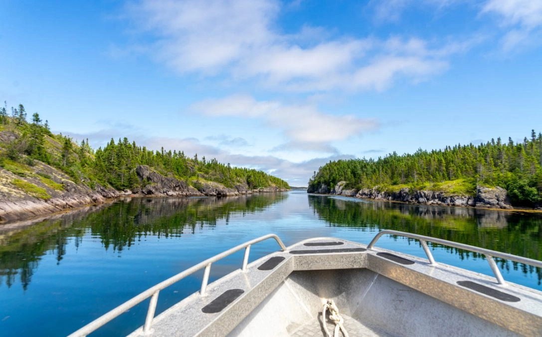 boat in water in hare bay