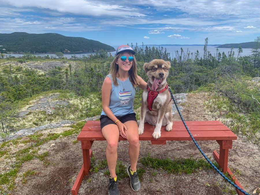 lora next to a dog sitting on a red bench while hiking in newfoundland.