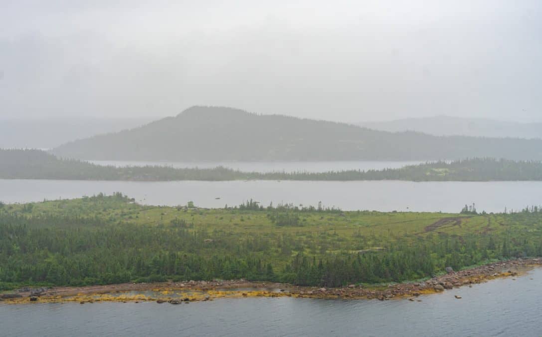 a foggy landscape in newfoundland