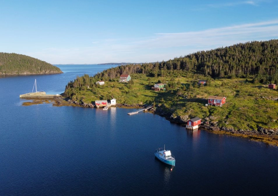 aerial view of bay of exploits. boats in the water near shore.