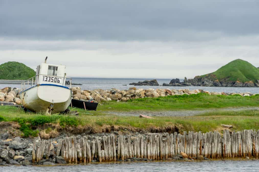 boat in Ferryland, Newfoundland