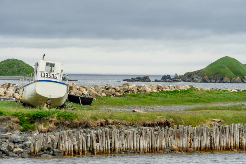 boat in ferryland newfoundland