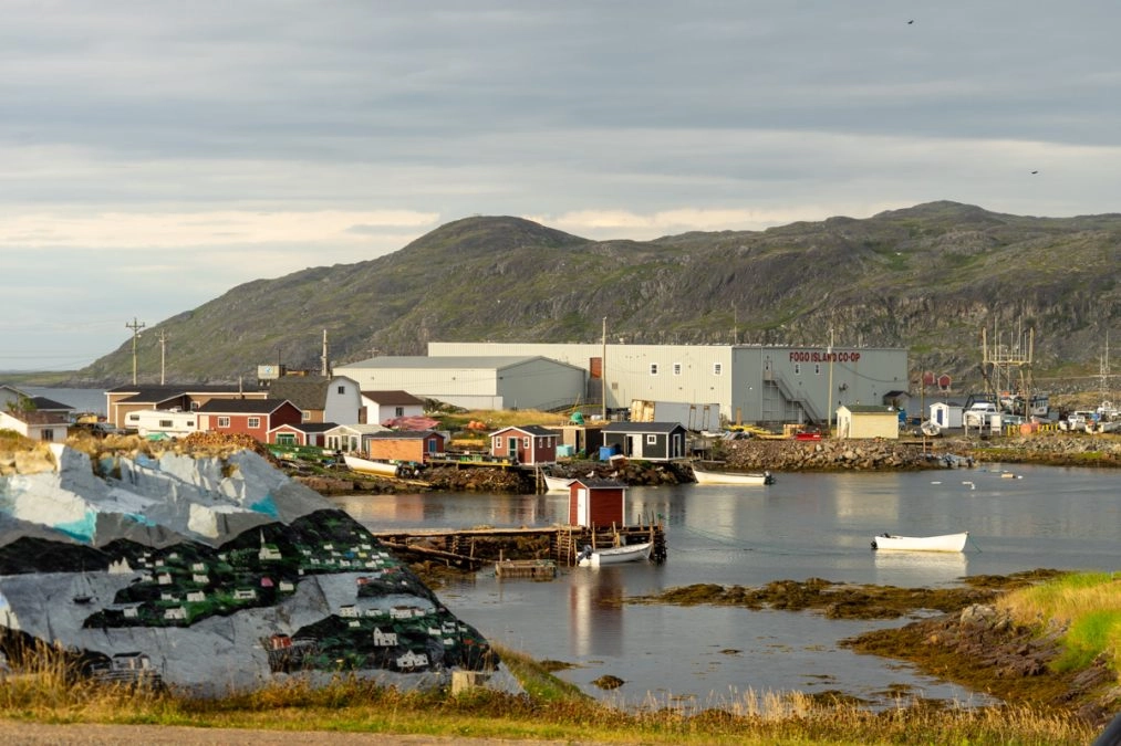 colorful houses by the ocean on fogo island