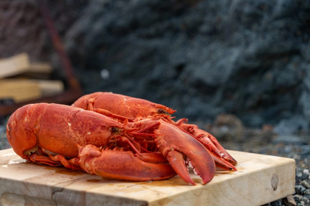 cooked lobster on a wooden board