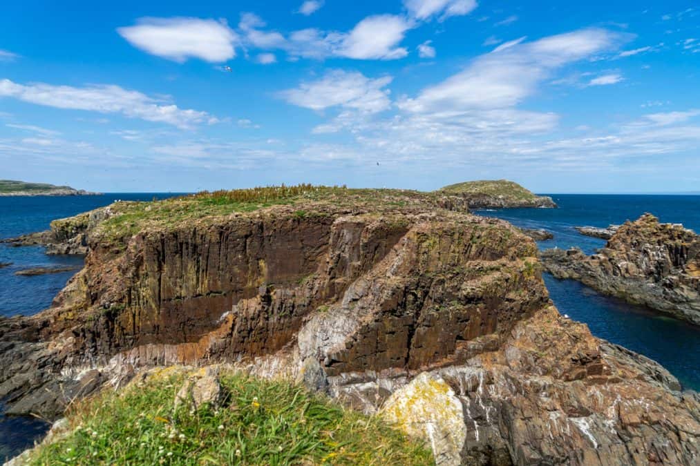 coastal cliffs and atlantic ocean in bonavista newfoundland