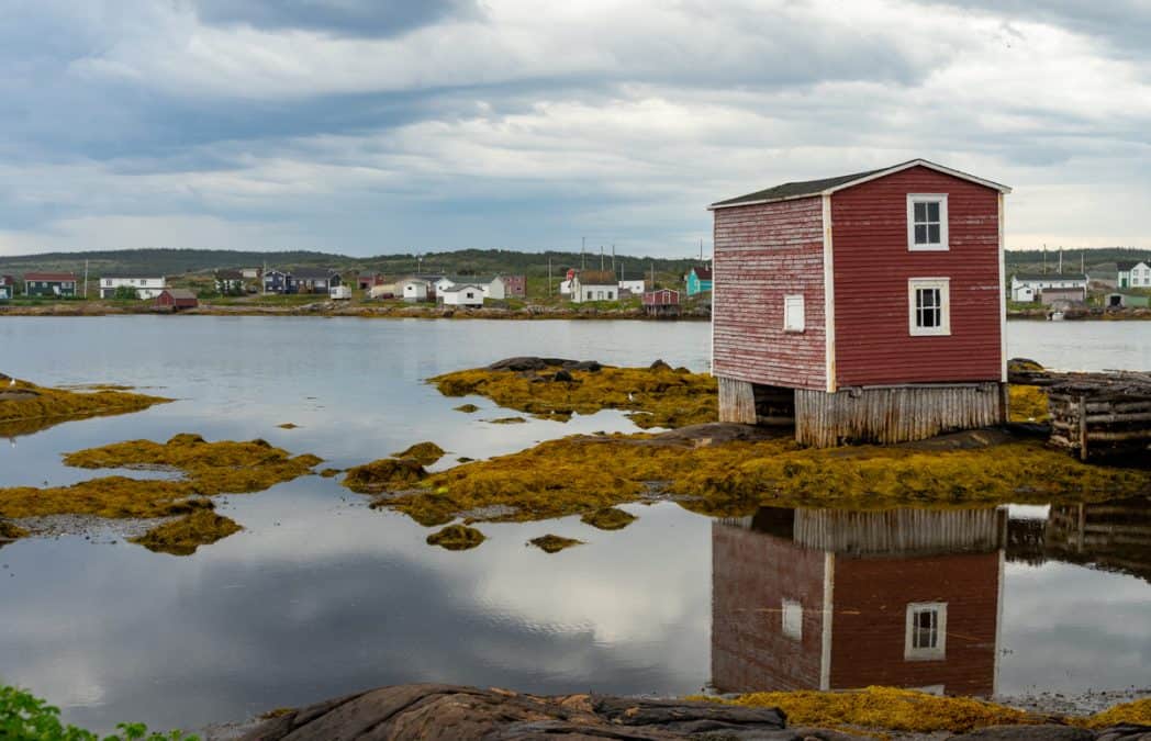 red salt box house on the ocean in tilting newfoundland